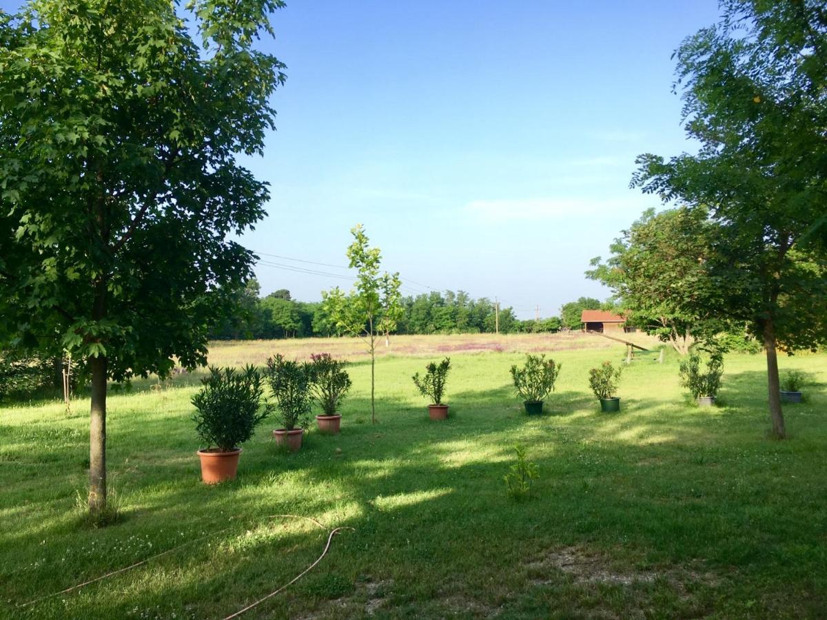 Ferienwohnung Westhof Sankt Andrä bei Frauenkirchen Εξωτερικό φωτογραφία